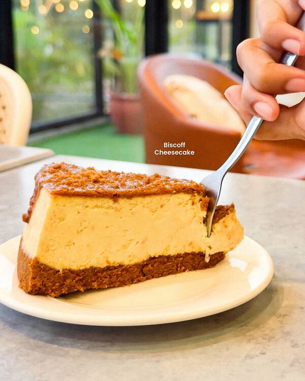 Biscoff Cheesecake
